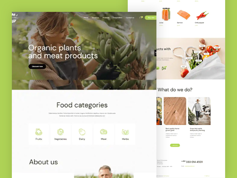 Organic Plants & Meat Storefront